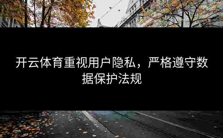 开云体育重视用户隐私，严格遵守数据保护法规
